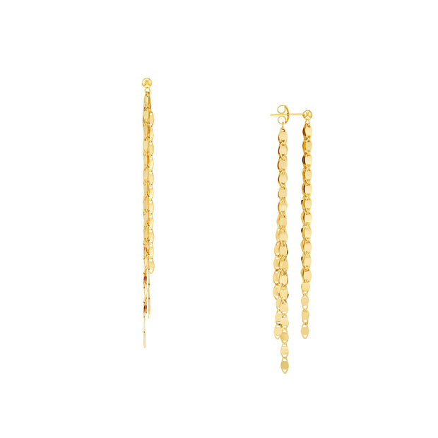 Front and Back Valentino Chain Earrings